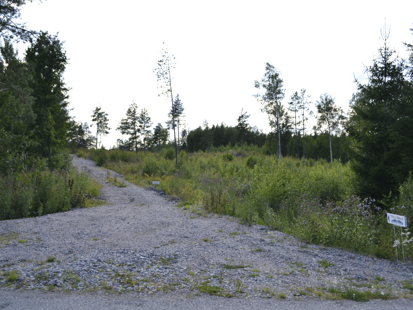 Infart från Väddö kustväg till vägen