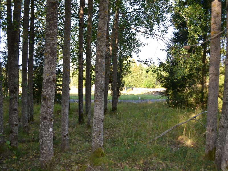 Tomten mot vägen