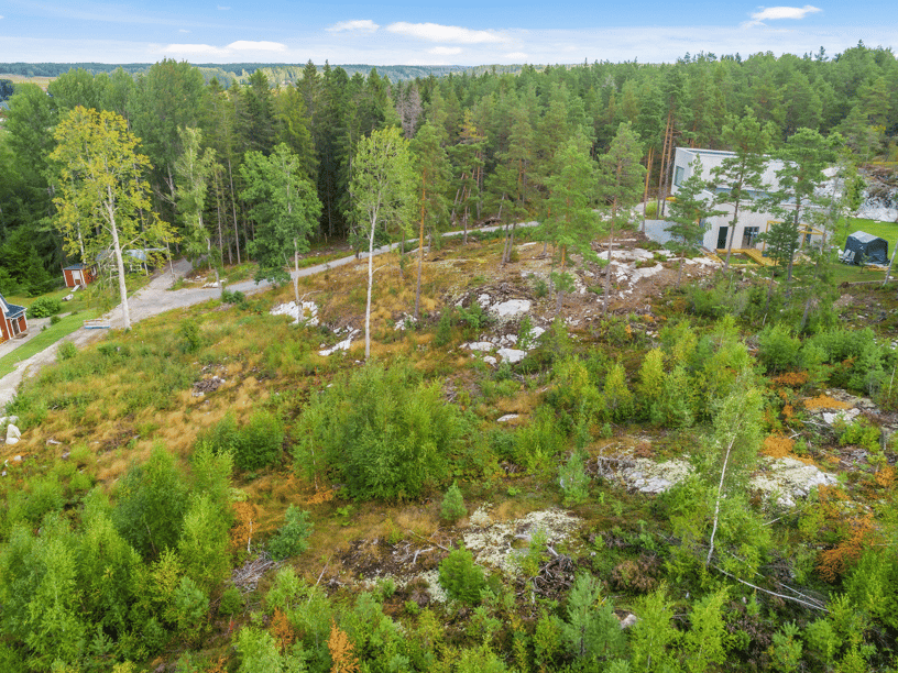 Vy över tomten och området