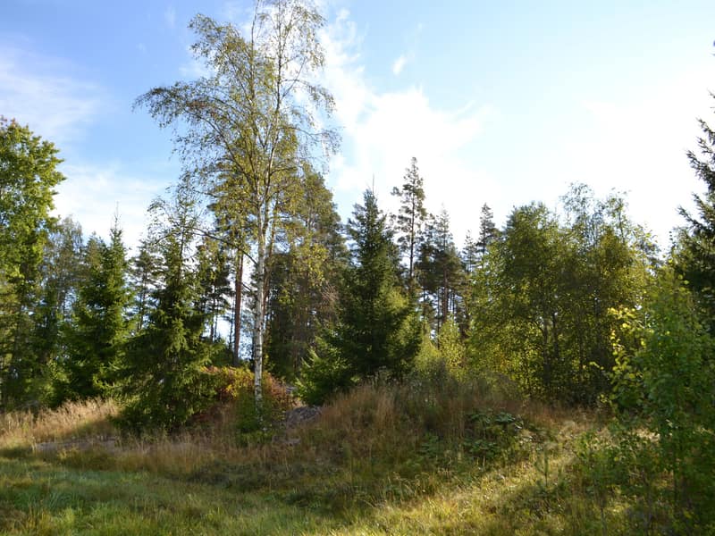 Tomten från vägen
