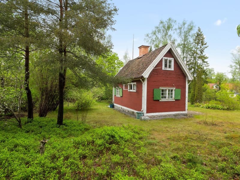 Plan uppvuxen trädgårdstomt