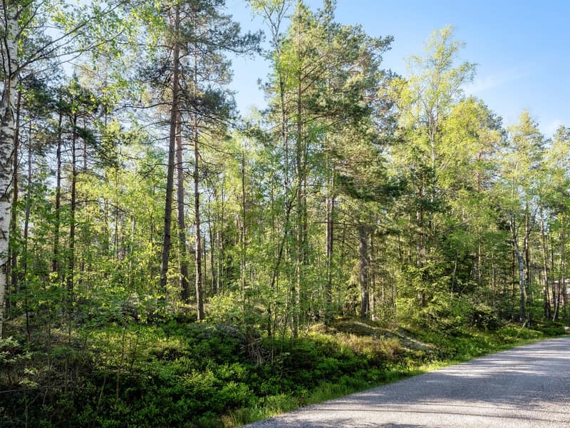 Tomten från vägen