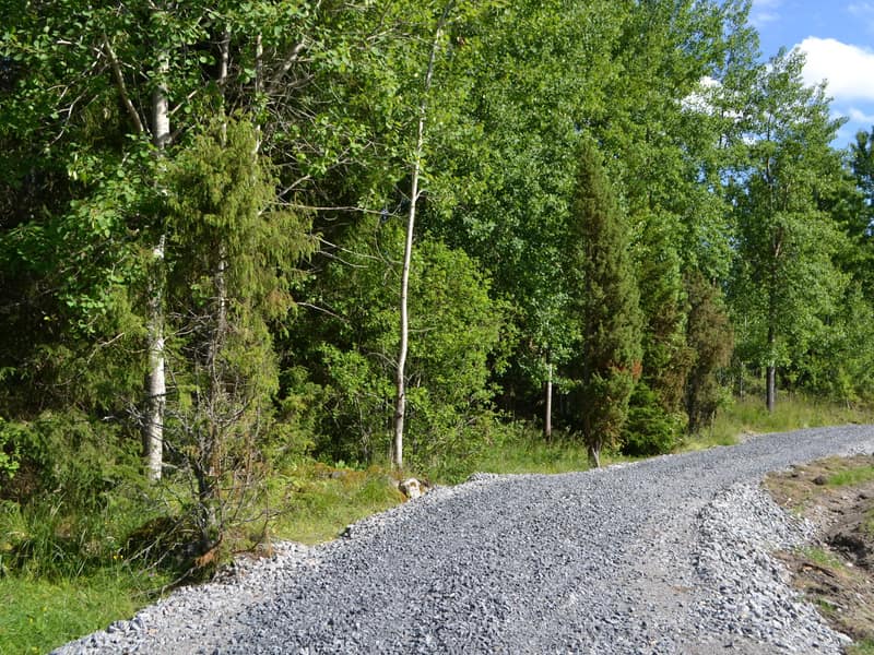 Väg fram mot tomterna