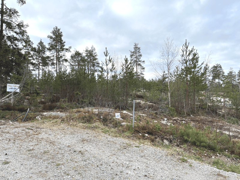 Vy mot tomten