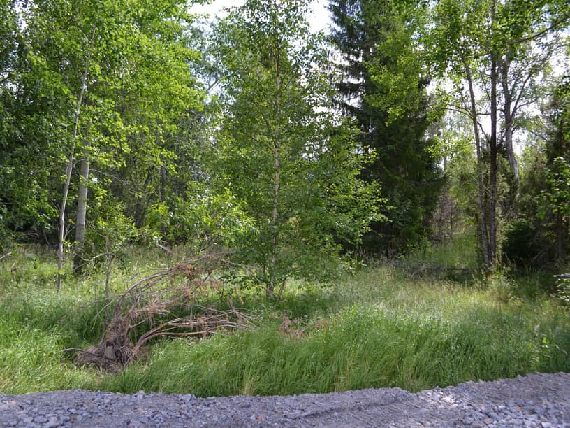 Tomt 1:20 från vägen