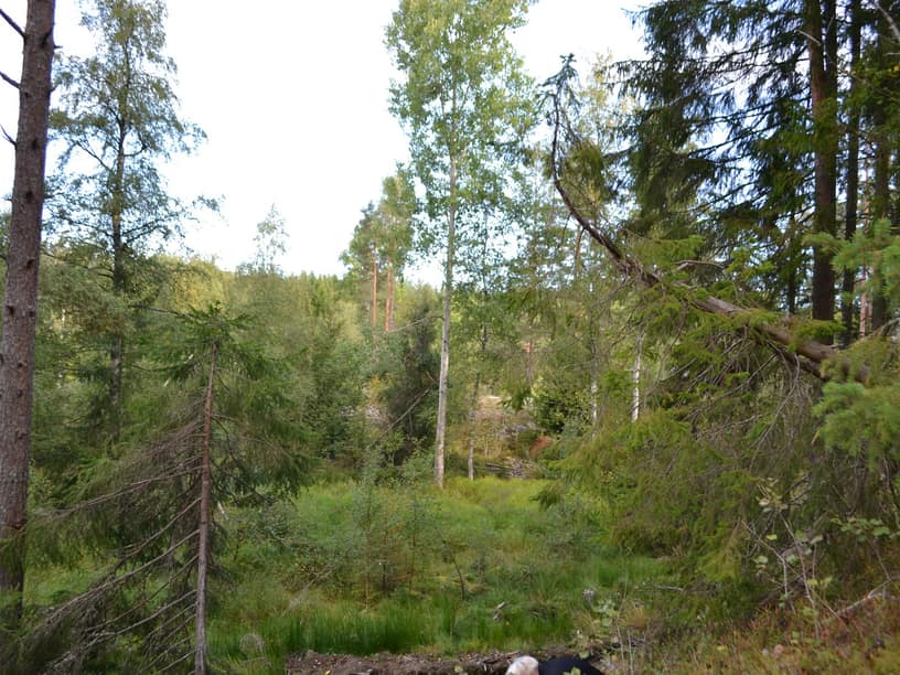 Tomten från inre delen av tomten