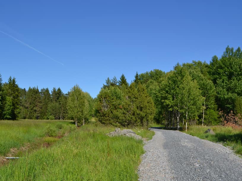 Väg fram till området