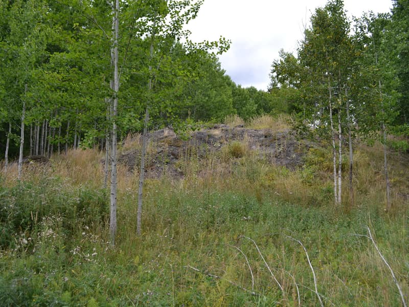 Tomten från vägen