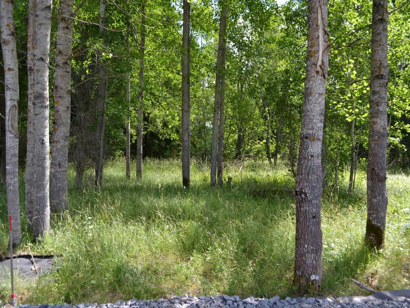 In mot tomten från vägen